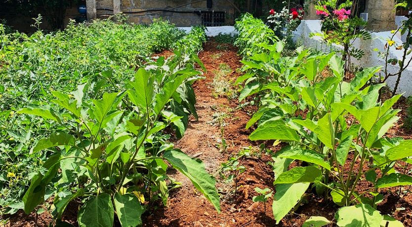 Photo of A Hillside Topography