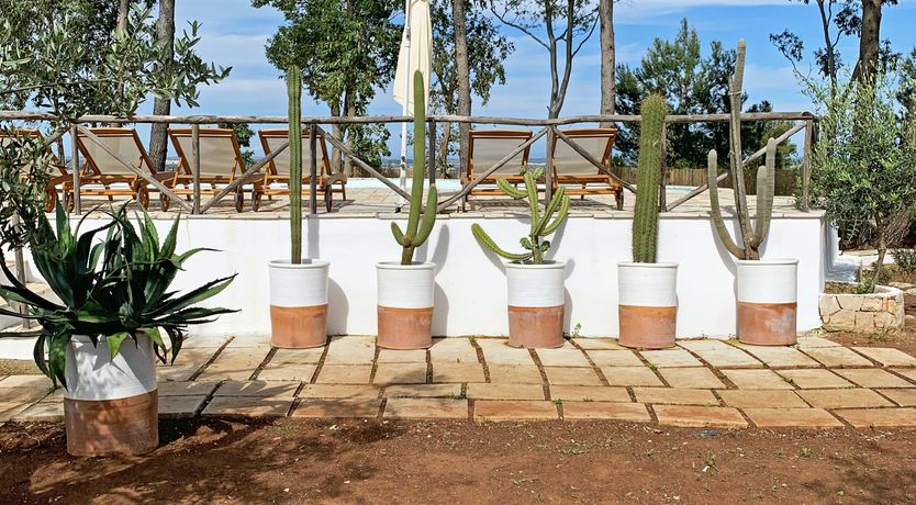 Photo of A Hillside Topography