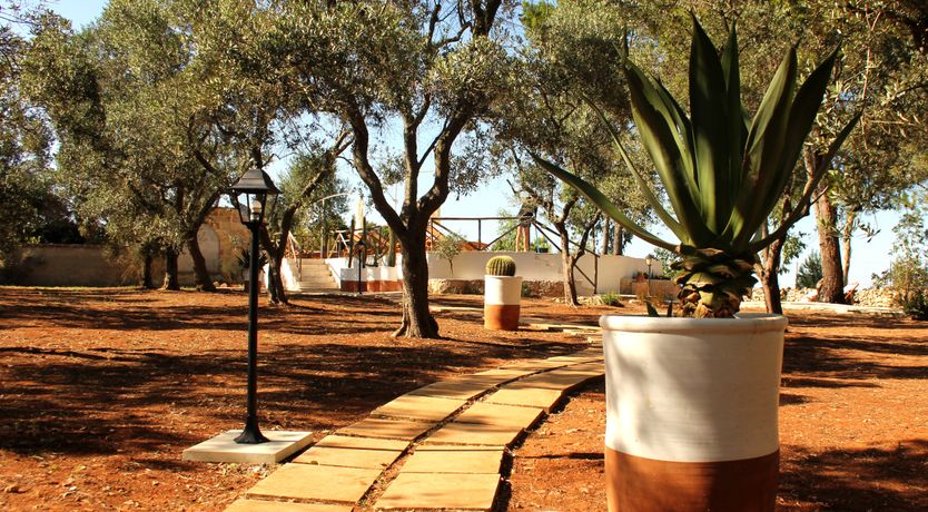 Photo of A Hillside Topography