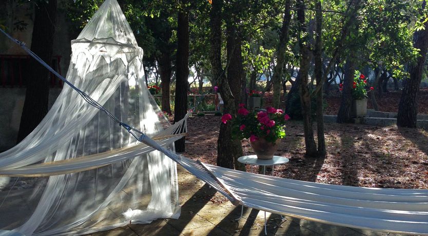 Photo of A Hillside Topography