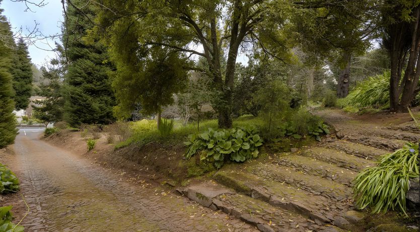 Photo of Madeira Made