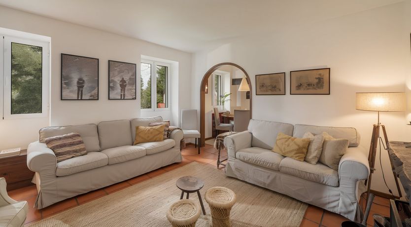 Photo of Madeira Made