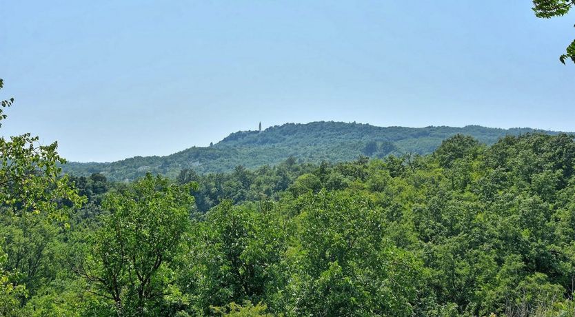 Photo of Spirit of the Mountain