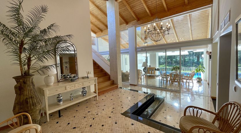 Photo of Vibrant Radiant