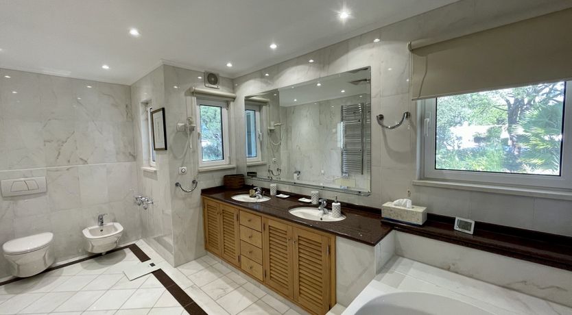 Photo of Vibrant Radiant