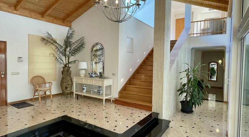 Photo of Vibrant Radiant