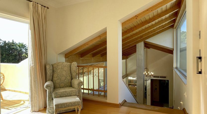 Photo of Vibrant Radiant