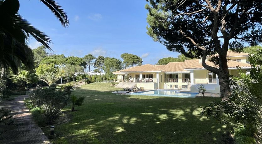 Photo of Vibrant Radiant