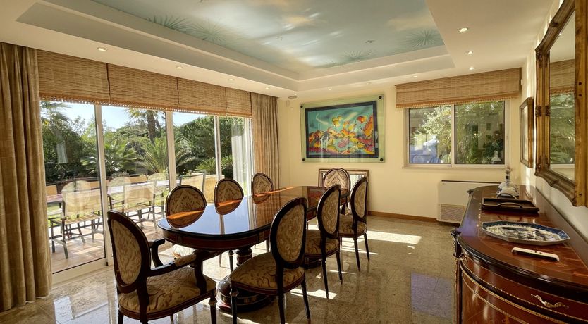 Photo of Vibrant Radiant