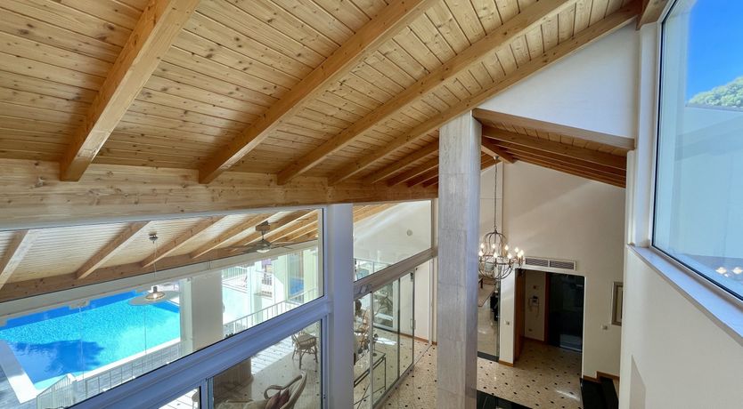 Photo of Vibrant Radiant