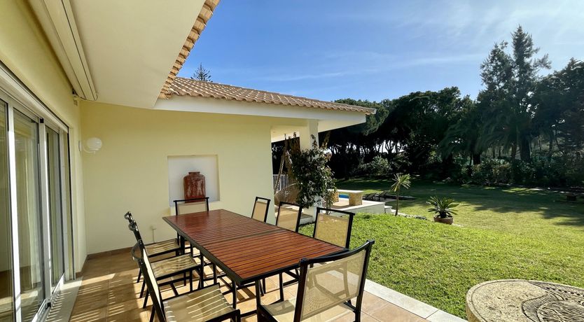 Photo of Vibrant Radiant