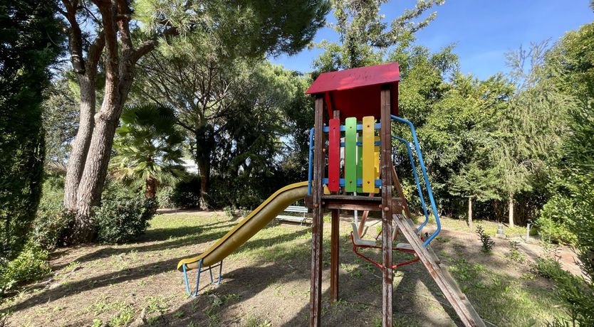 Photo of Vibrant Radiant