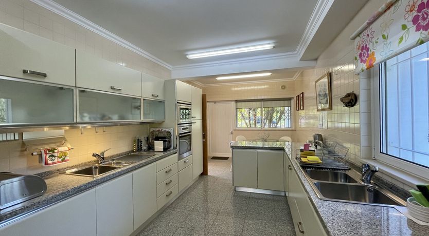 Photo of Vibrant Radiant