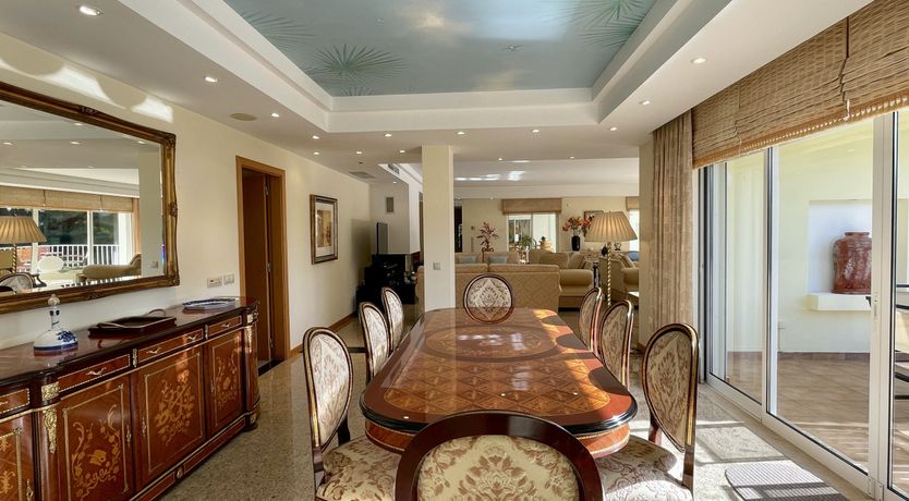 Photo of Vibrant Radiant