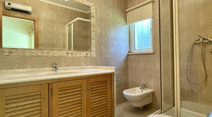 Photo of Vibrant Radiant