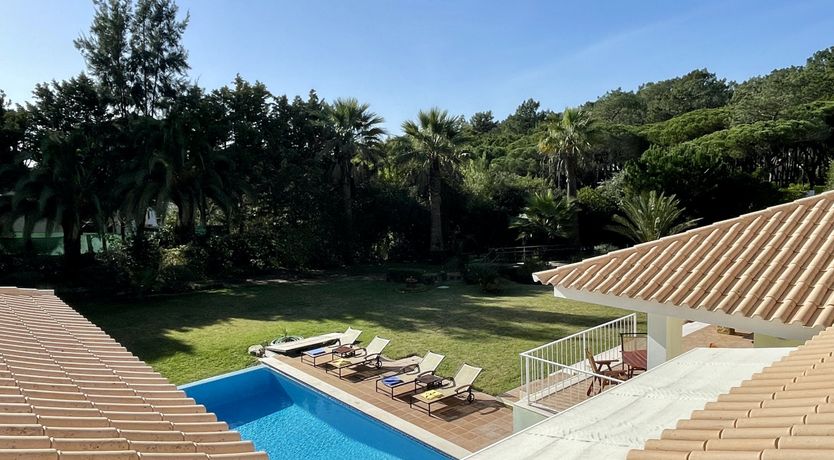 Photo of Vibrant Radiant