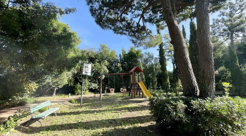 Photo of Vibrant Radiant