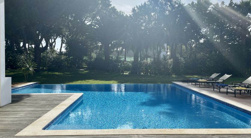 Photo of Vibrant Radiant