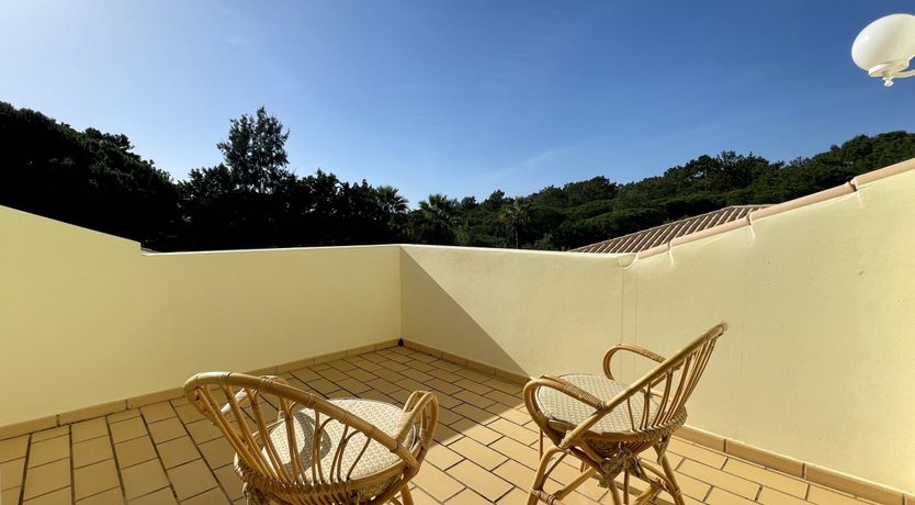 Photo of Vibrant Radiant