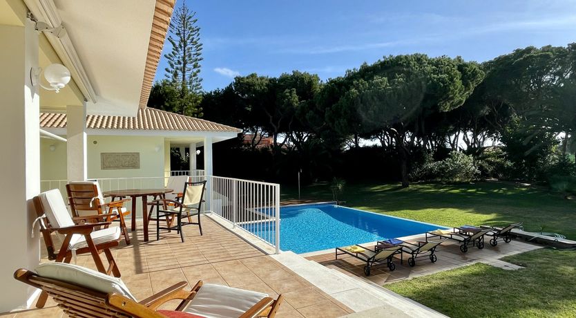 Photo of Vibrant Radiant