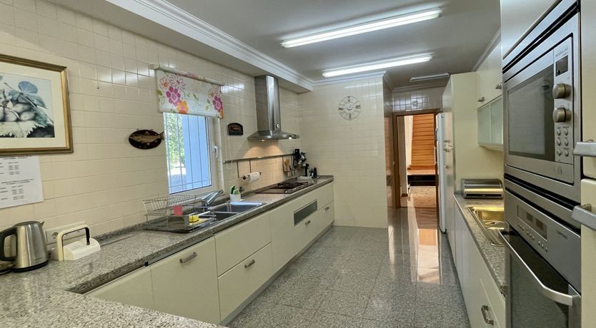 Photo of Vibrant Radiant