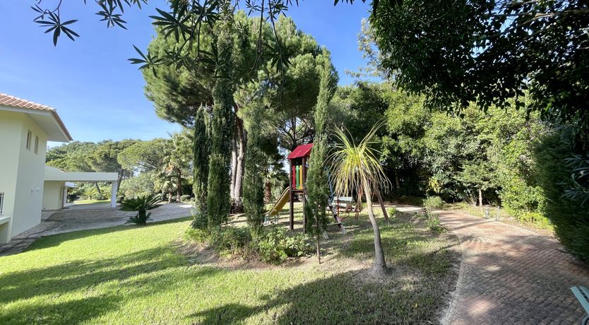 Photo of Vibrant Radiant