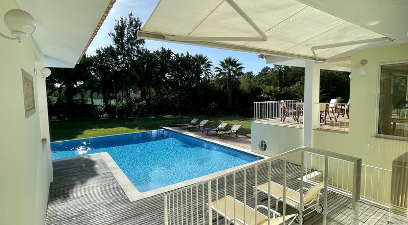 Photo of Vibrant Radiant