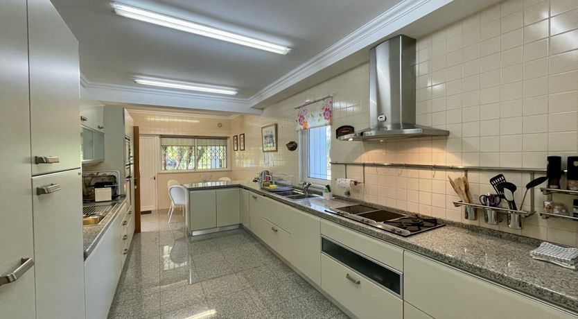 Photo of Vibrant Radiant