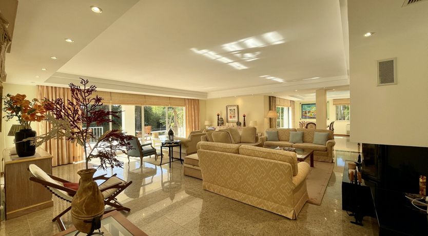 Photo of Vibrant Radiant