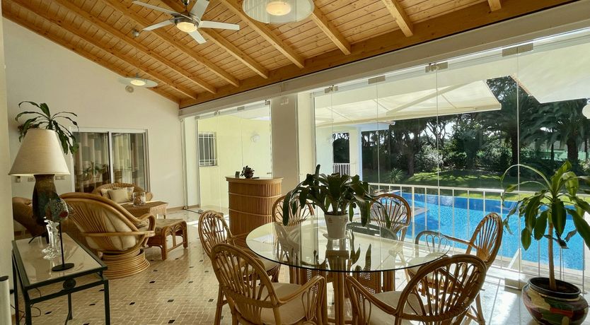 Photo of Vibrant Radiant