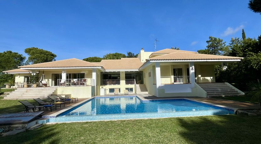 Photo of Vibrant Radiant