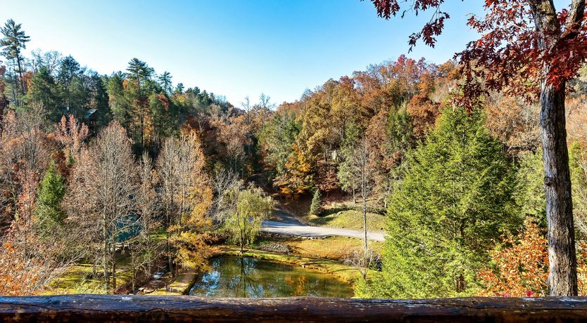 Photo of Mountain Star