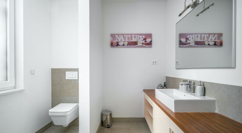 Photo of Galileo's Planet