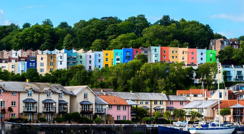 Photo of The Golden Oleander