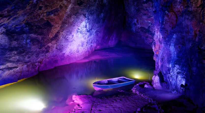 Photo of The Golden Oleander