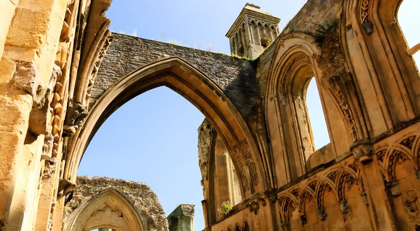 Photo of The Golden Oleander