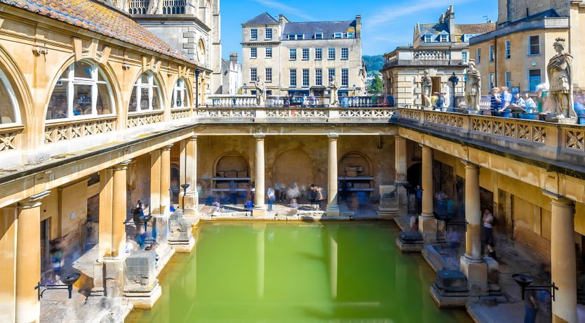 Photo of The Golden Oleander