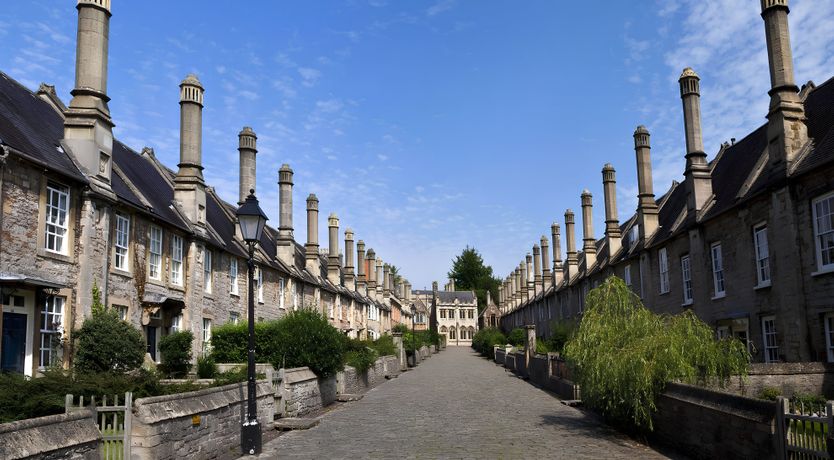 Photo of The Golden Oleander