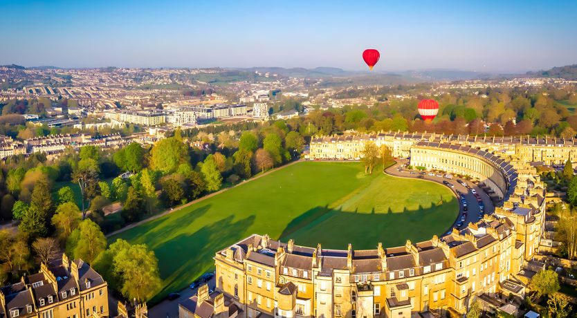 Photo of The Golden Oleander