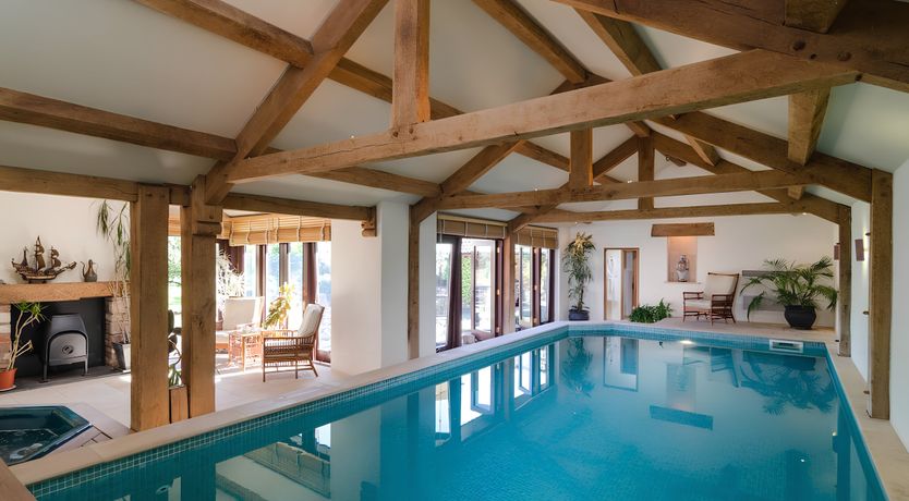 Photo of The Golden Oleander