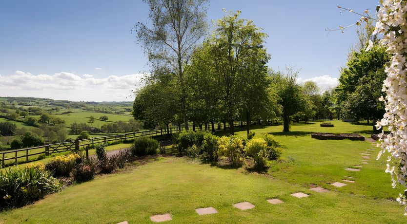 Photo of The Golden Oleander