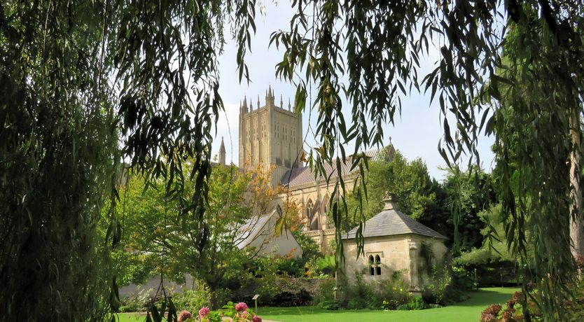 Photo of The Golden Oleander