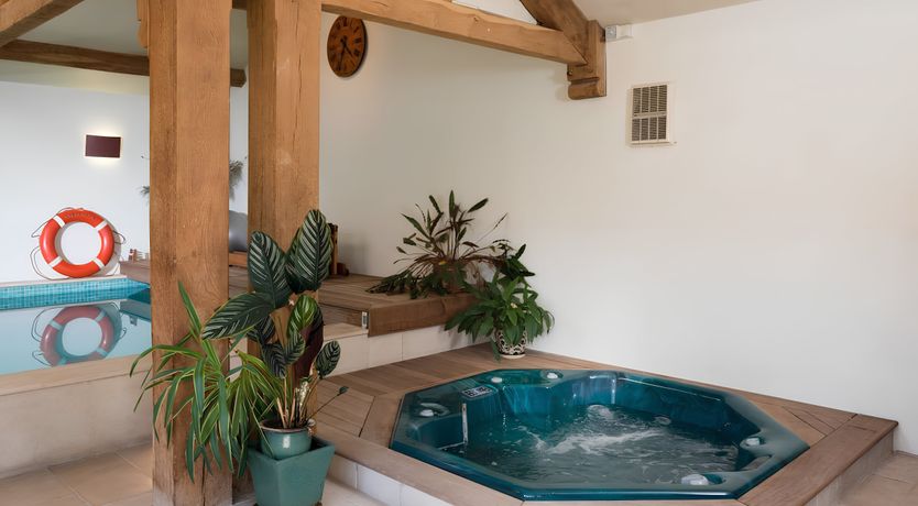 Photo of The Golden Oleander