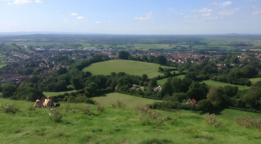 Photo of The Golden Oleander