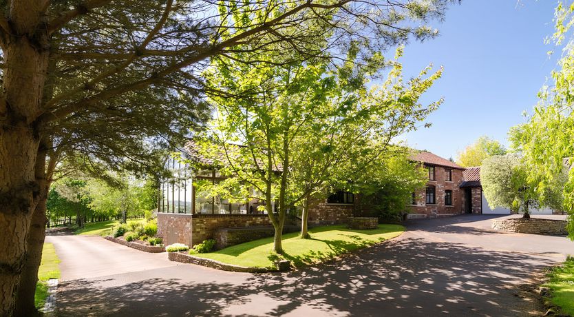 Photo of The Golden Oleander