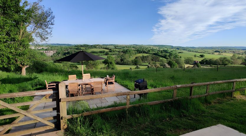 Photo of The Golden Oleander