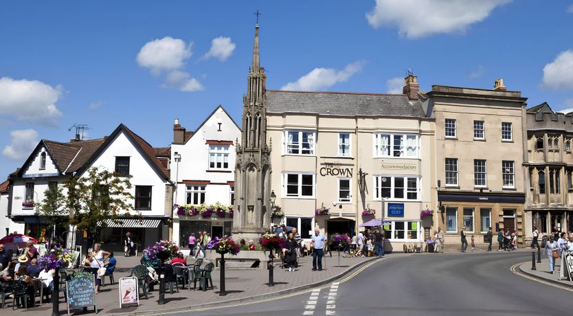 Photo of The Golden Oleander