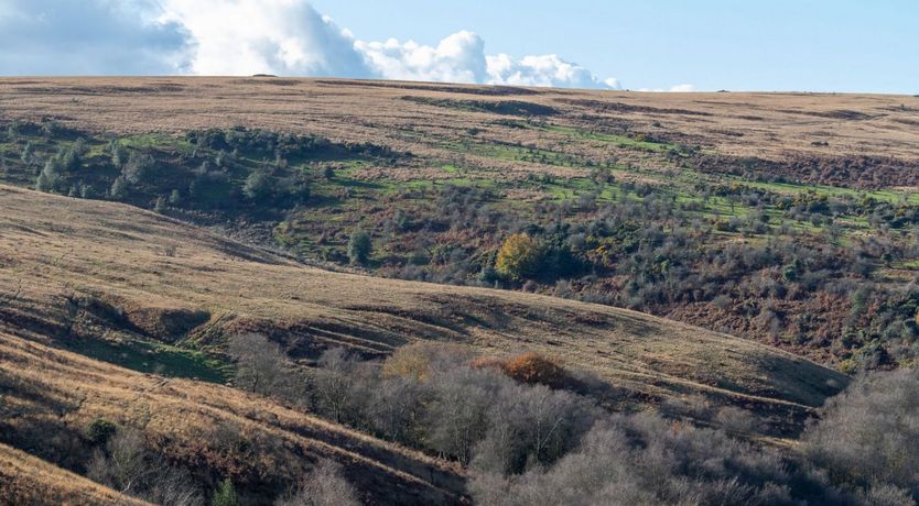 Photo of Kiri Cottage, Hawkridge
