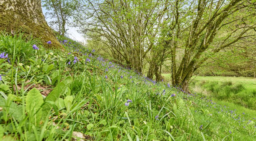 Photo of Kiri Cottage, Hawkridge