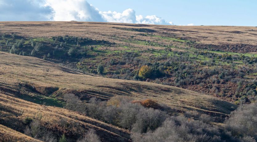 Photo of Kiri Cottage, Hawkridge